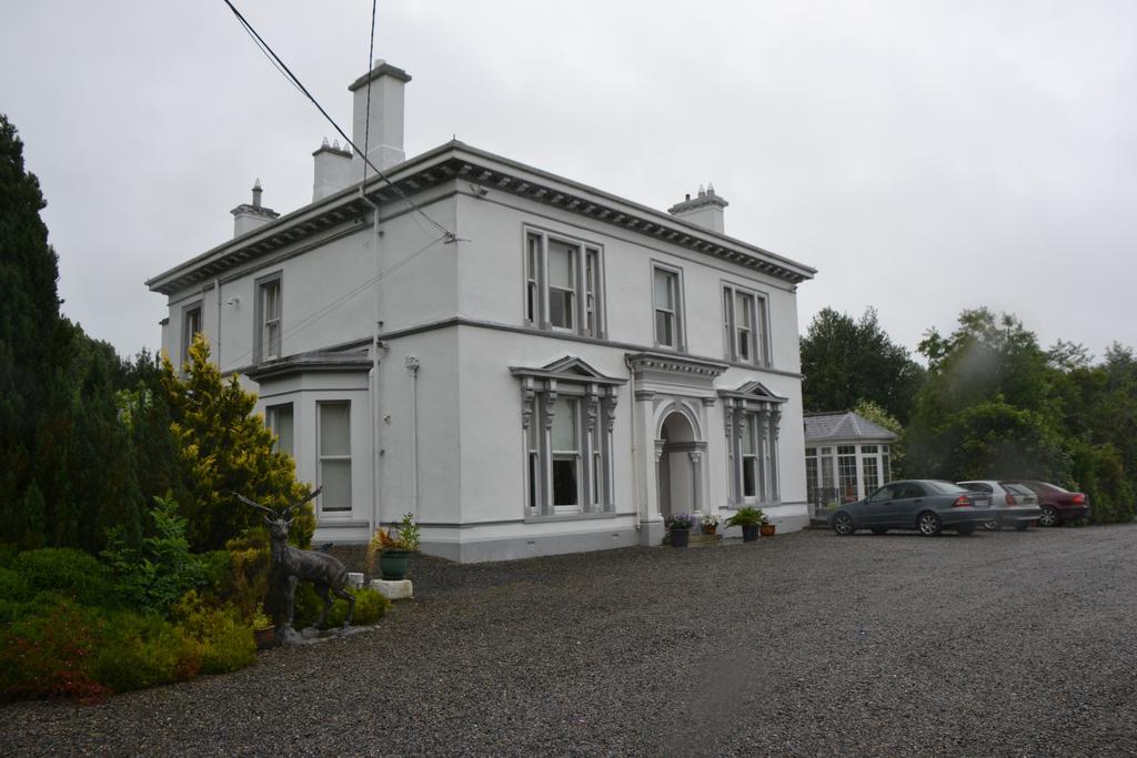 Ballinwillin House Mitchelstown Eksteriør billede